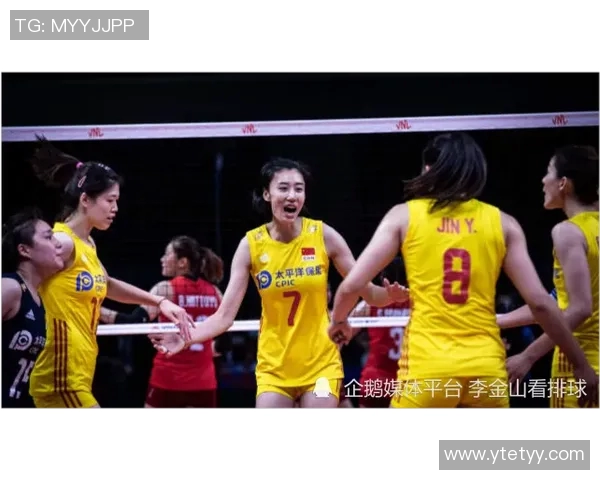 成都排球队个人能力排名创新高引发关注展现运动员卓越实力与团队协作精神