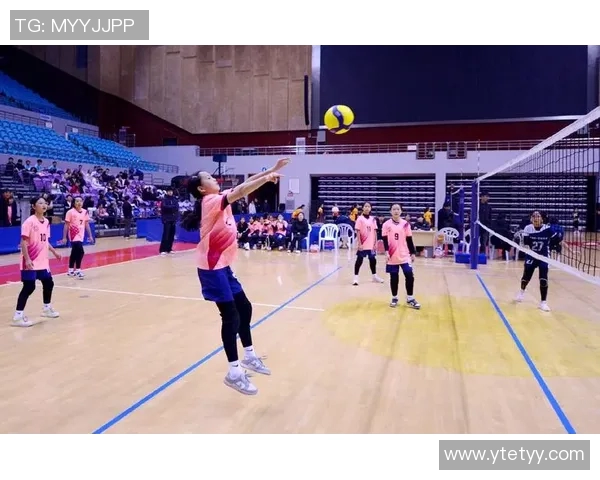 聚焦排球精神：探讨上海排球队的团队意识与竞技文化